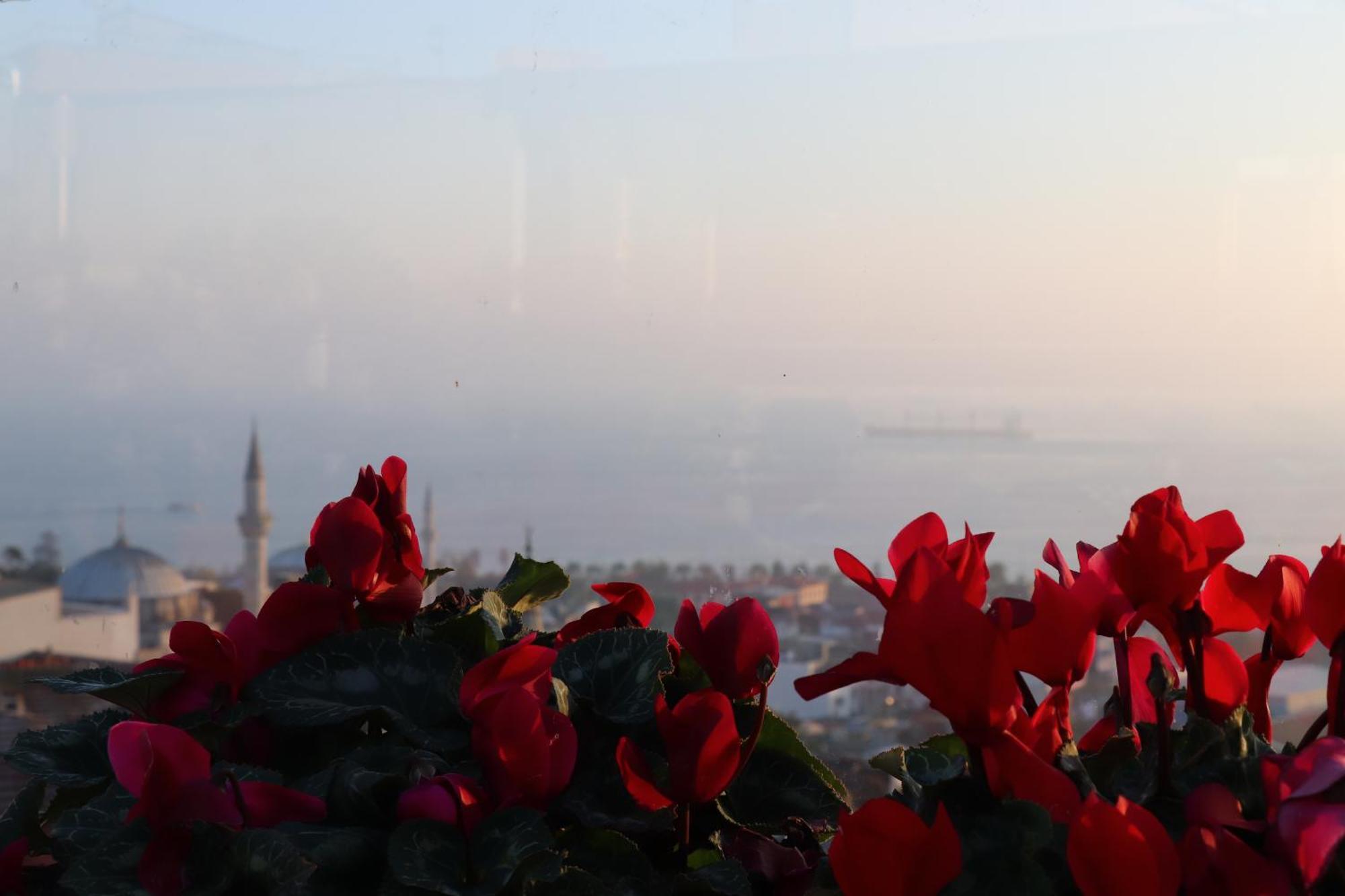Recital Hotel Provincia di Provincia di Istanbul Esterno foto