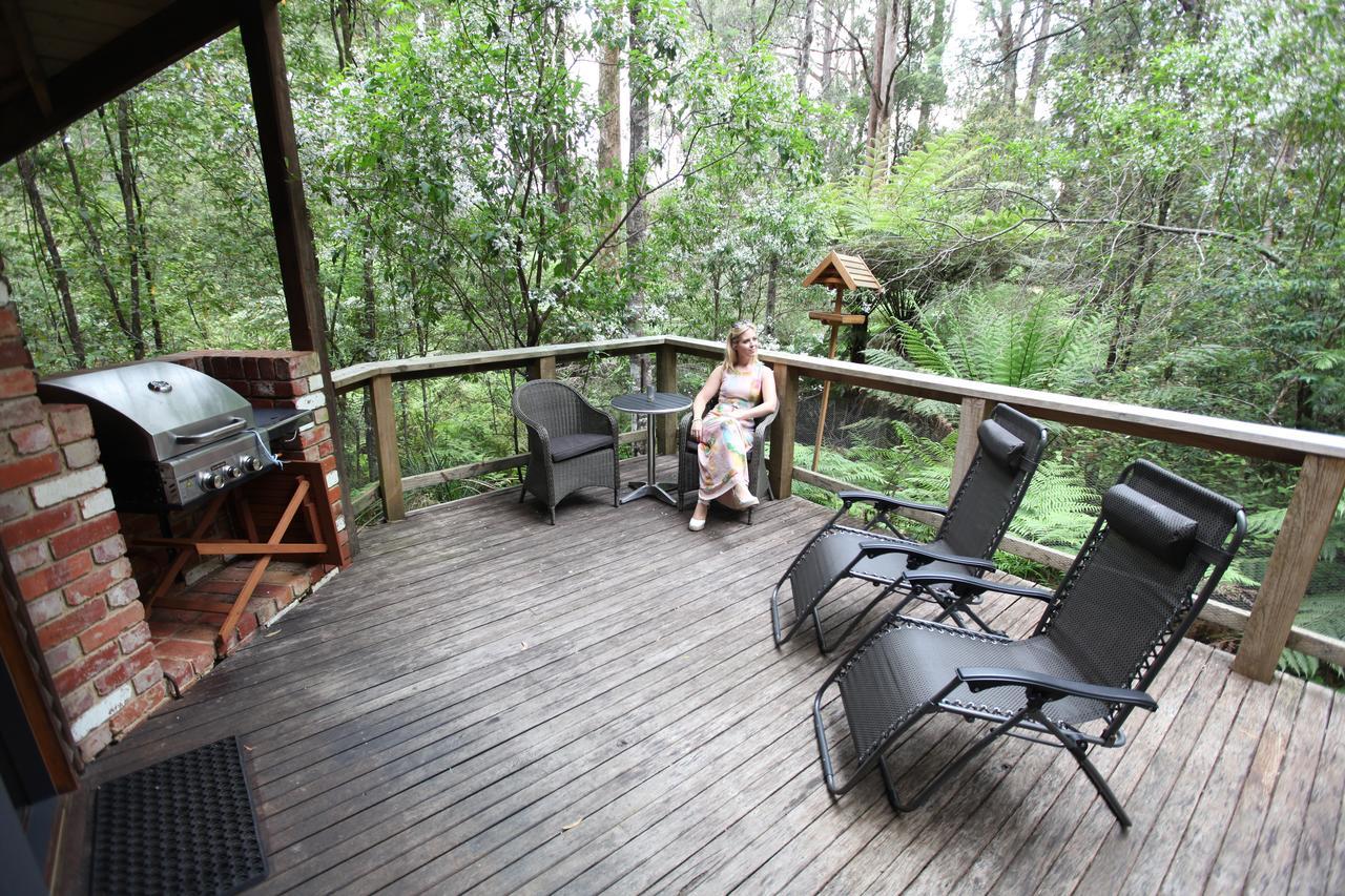 Woodlands Rainforest Retreat Villa Narbethong Esterno foto